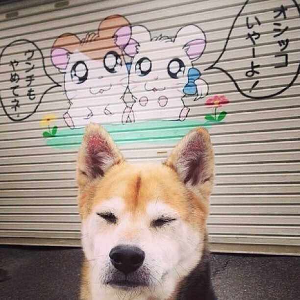 关键数据:北京队投篮命中率达46%,助攻达22次!,北京队篮球队队员