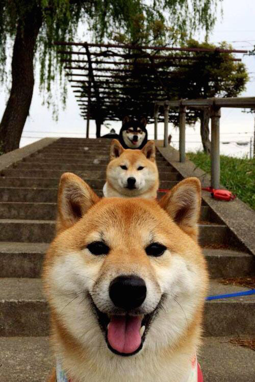 开云中国-“西甲老牌强队奋起直追，争冠榜上名次不断变动”，西甲老将